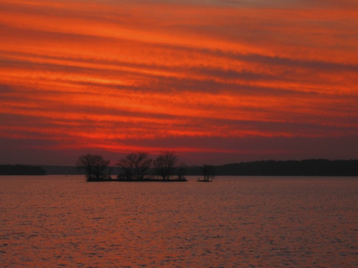 11-06-09 ss.jpg (519 KB)